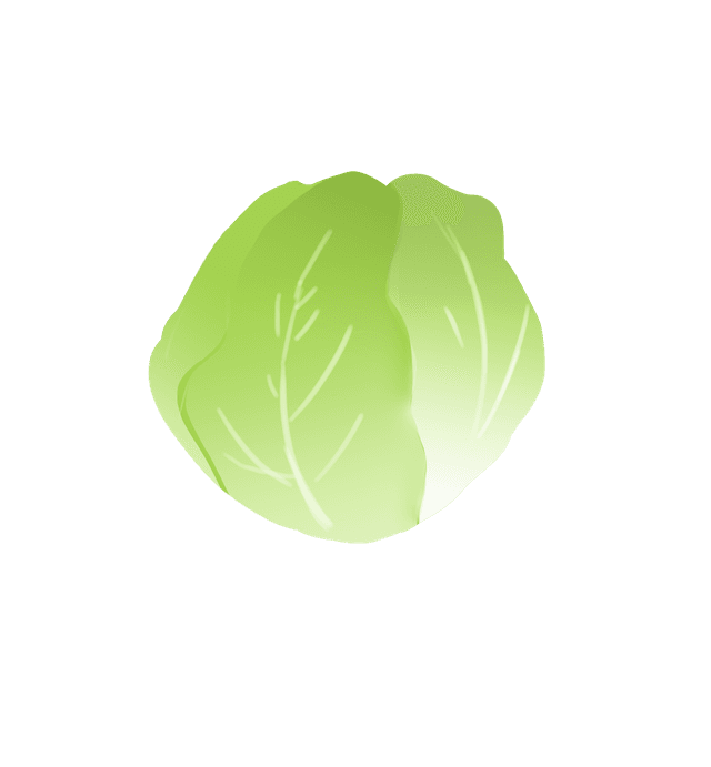 lettuce