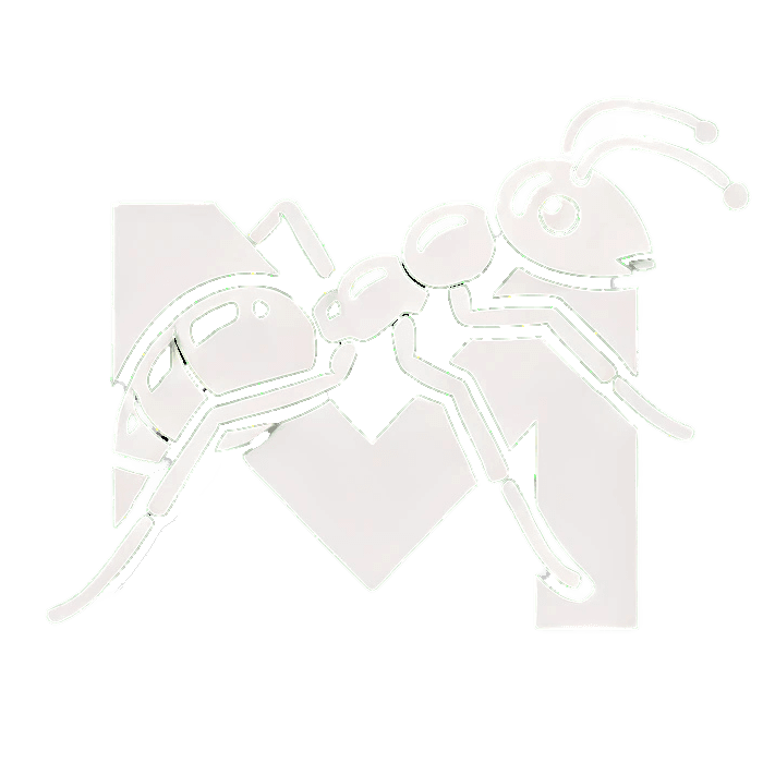 Moorcheh